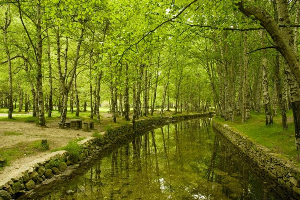 Willa Casa Miguel Sabugueiro  Zewnętrze zdjęcie